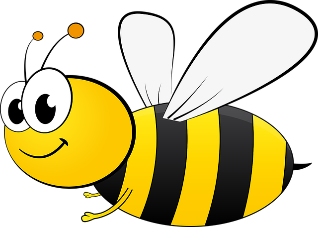 L'abeille, la reine des miels, des tisanes...