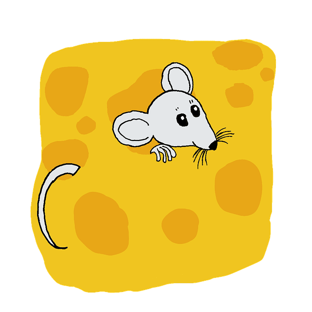Fromage tellement bon que mêmes les souris les aiment !